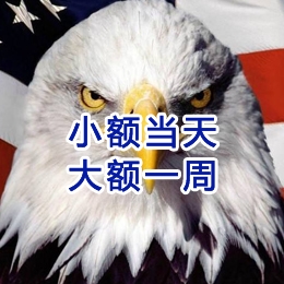 新田要账公司